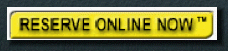 free1001010.gif